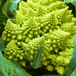 Broccoli romanesco