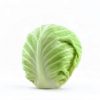 Cabbage White Mini