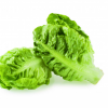 Lettuce Baby Cos Green Raw