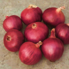 Onion Globe Hybrid Red