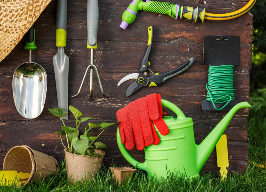 Equipment Required for Container Gardening