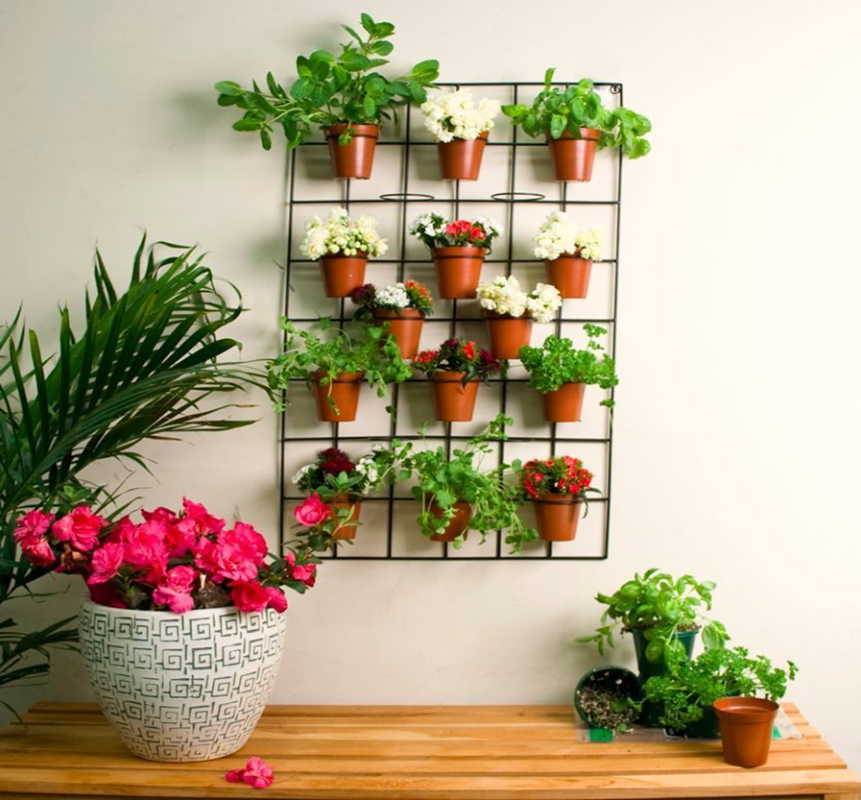 Indoor and Outdoor Container Gardening