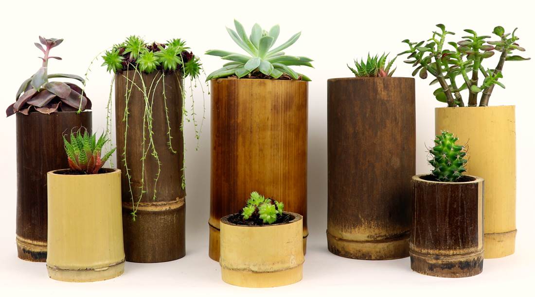 Making Planters for Container Gardening