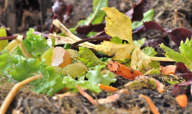 All you need to know about compost heap