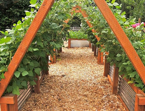 Raised Garden Bed Arbor for Gardening