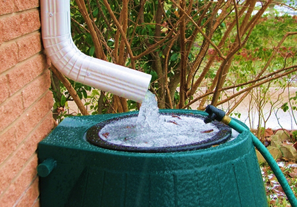 Ways of Storing and Recycling Water in Garden